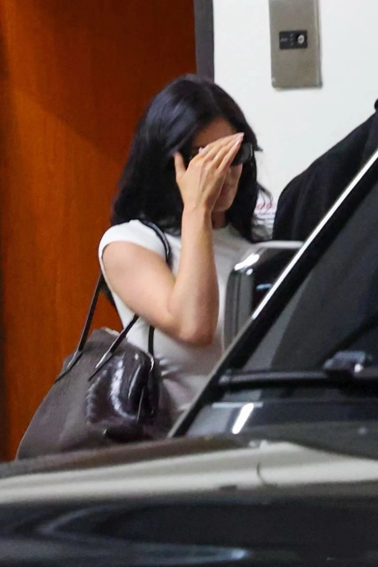 Crocodile Pattern Genuine Leather Luxury Handbag – High Quality Alligator-Style Large Capacity Women’s Tote & Shoulder Crossbody Bag | HollandLuxeGlobal.com Exclusive Collector’s Item